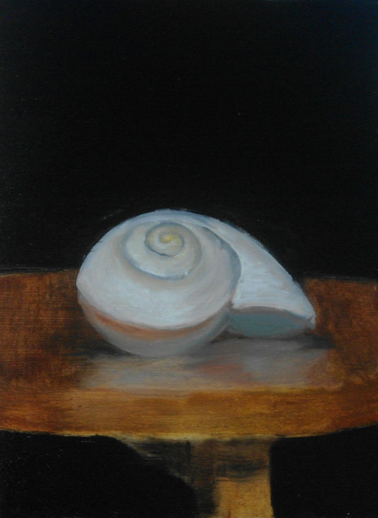 Sandhill Snail Seashell